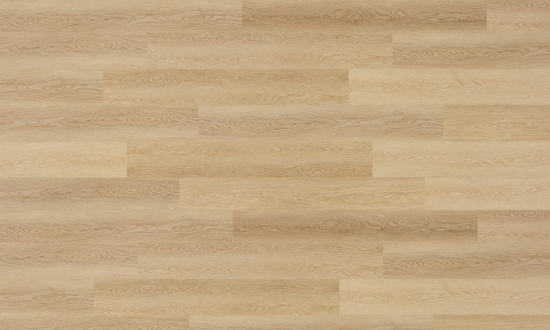 Nabbiolo - Image 3