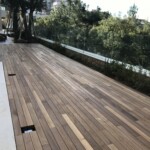 Burma Teak - Exotic Wood